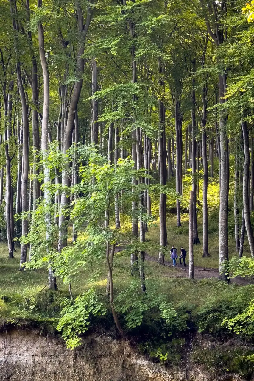 Entlang der Steilküste der Wissower Klinken
