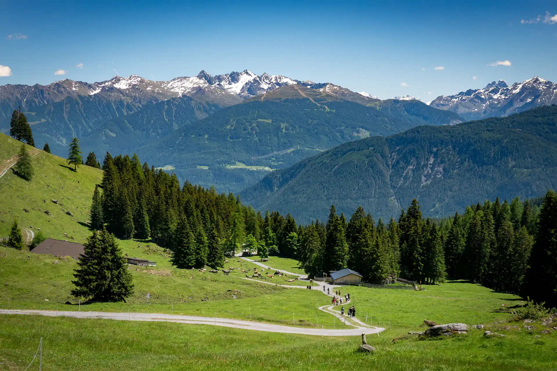 Von der Muttekopfhütte zurück ins Tal