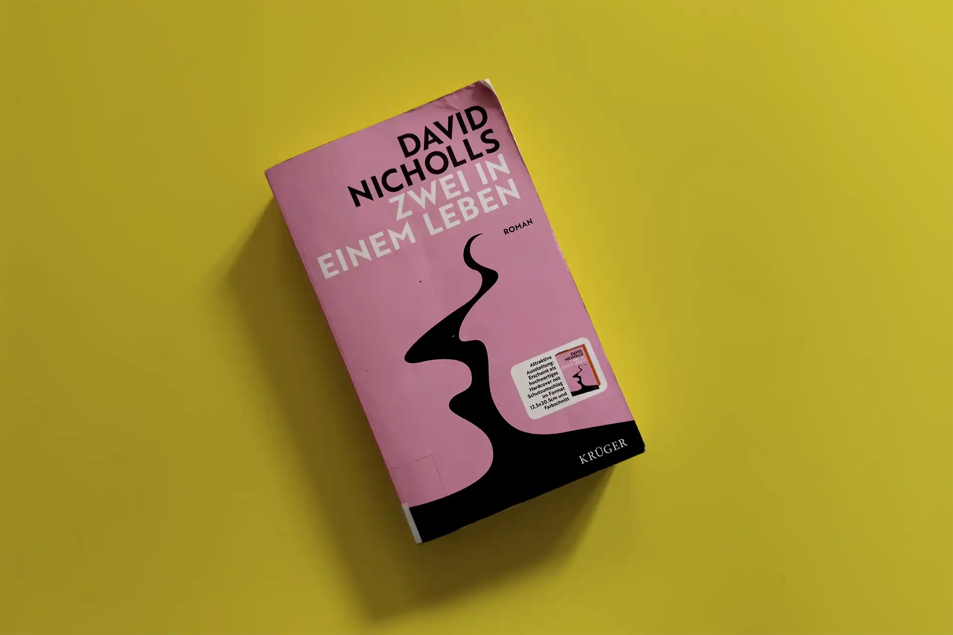 „Zwei in einem Leben“ – unterhaltsame Lektüre von David Nicholls