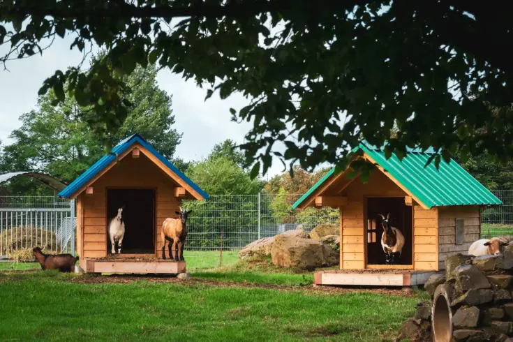<span>Praktisch.</span> Der Wildpark liegt direkt vor dem Wildpark-Hotel