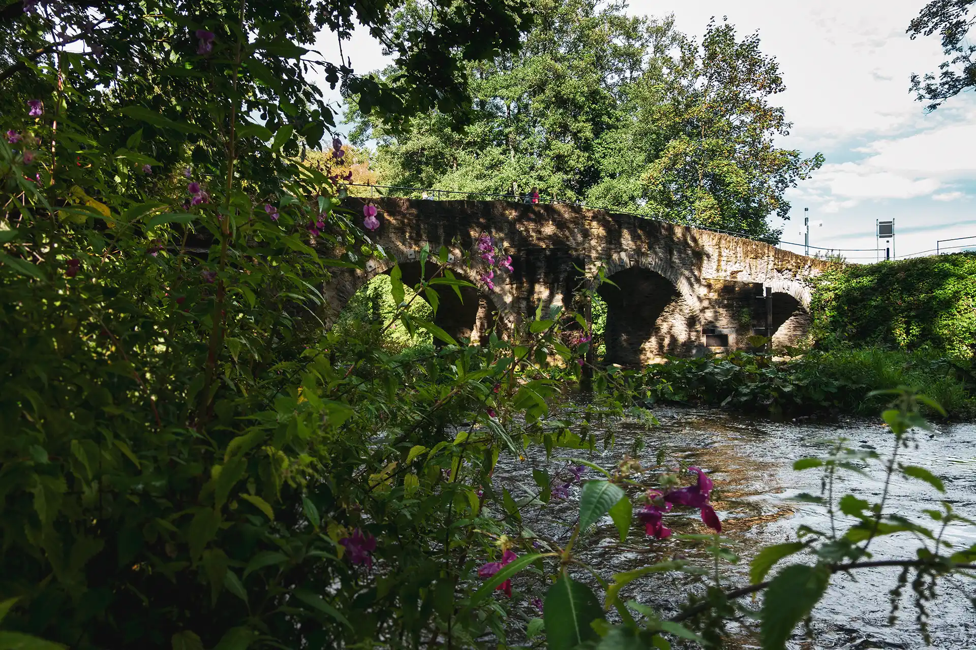 Oft führt der Westerwaldsteig auch an Ufern entlang oder über Flüsse hinweg